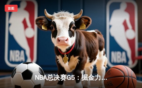 NBA总决赛G5：掘金力克热火，约基奇三双率队夺赛点